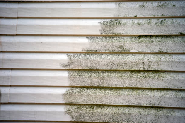Best Furniture Removal  in Sorrento, LA